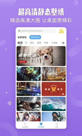 小鸟主题壁纸[图1]
