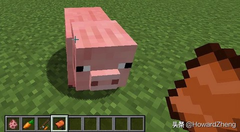 我的世界胡萝卜钓竿有什么用[图2]
