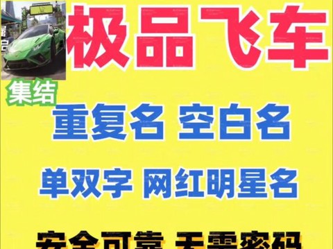 极品飞车名字是什么[图1]