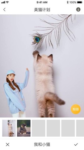云养猫图2