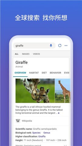 newbing[图2]