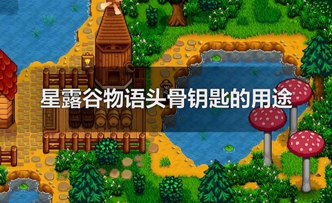 星露谷物语钥匙怎么用[图1]