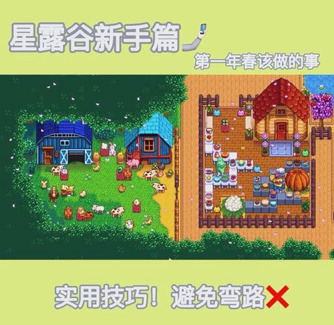 星露谷物语米怎么做[图1]