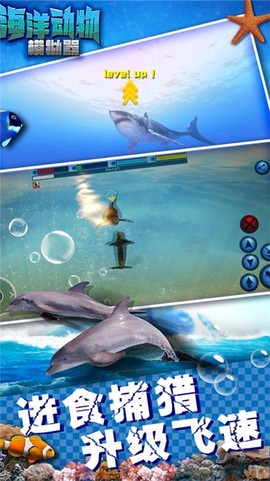 海洋动物模拟器[图1]