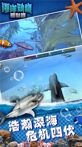 海洋动物模拟器图3