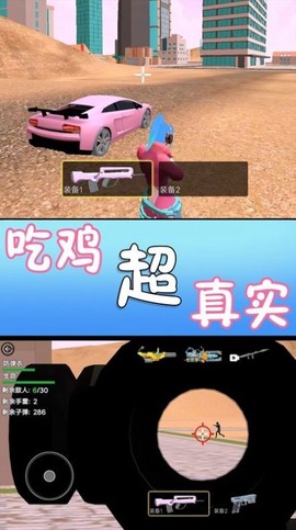 满级吃鸡图2