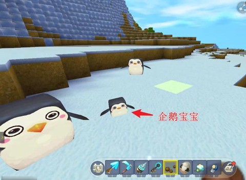 迷你世界怎么找企鹅