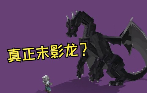 我的世界末影龙怎么去[图1]