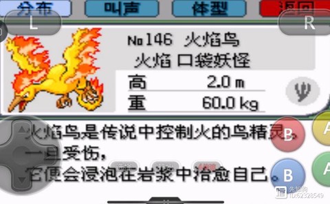 口袋妖怪绿宝石抓什么[图1]