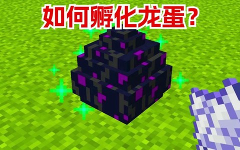 我的世界如何孵化龙蛋并驯服[图2]