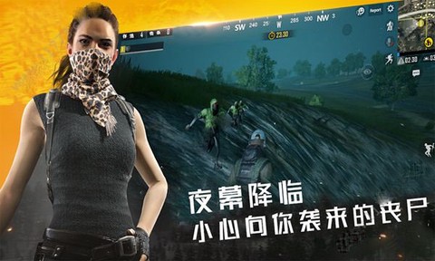 代号死神图3