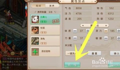 问道手游白果儿怎么加点[图1]