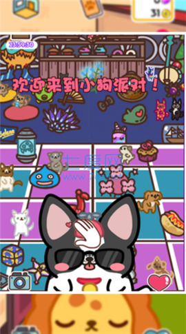 我的小奶狗图2