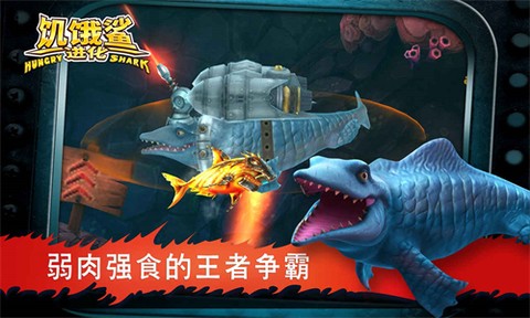 饥饿鲨进化单机版图1