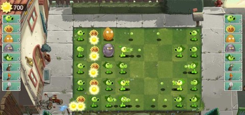 双人植物大战僵尸[图1]
