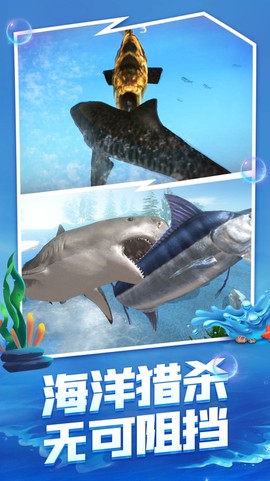 海底生存大猎杀图2