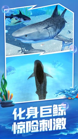 海底生存大猎杀图3