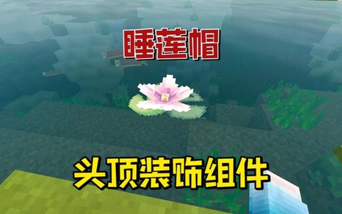 我的世界睡莲怎么种