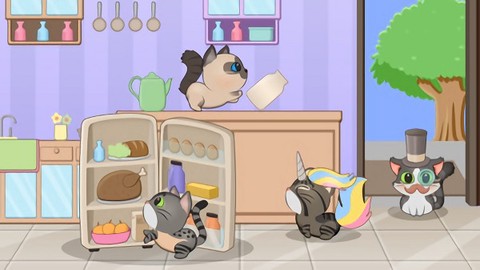 猫咪的生活图3