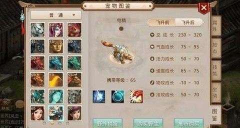 手游问道电精怎么加点[图1]