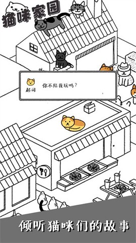 猫咪家园图3