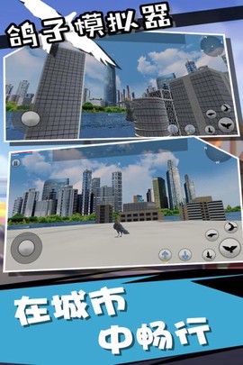 鸽子鸟模拟器图2