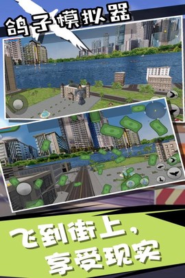 鸽子鸟模拟器图3