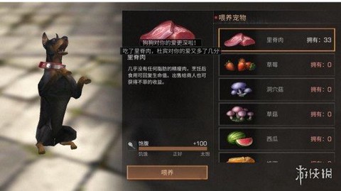 明日之后狗狗怎么喂食
