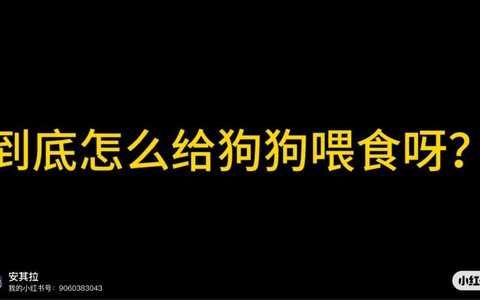 明日之后狗狗怎么喂食[图2]