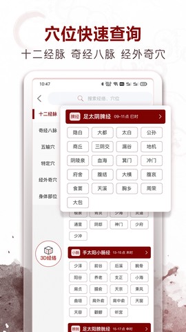 中医经络穴位图1