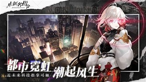 非匿名指令图3