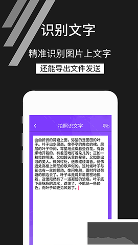 拍照识别文字图3