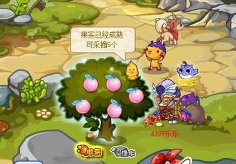 洛克王国可可果怎么得[图1]