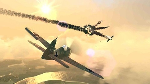 真实空中飞机图2