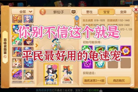 问道手游乌龟带什么书