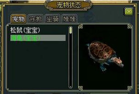 问道手游乌龟带什么书[图1]