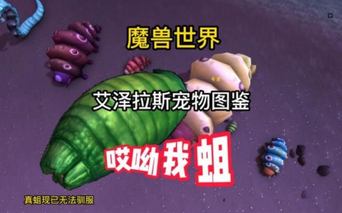 魔兽世界怎么看宠物