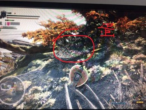 怪物猎人飞龙蛋怎么运回去[图1]