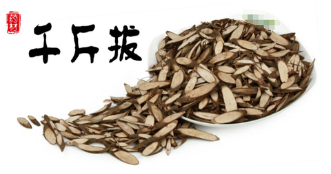 九阴真经天心药录出什么