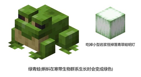 蛤蟆吃怎么联机我的世界[图2]