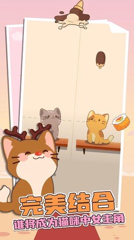 旅行猫咪图2