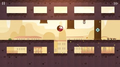 莎莉定律图1