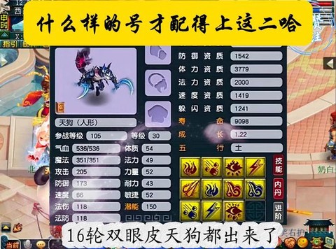 梦幻西游宠物怎么进阶