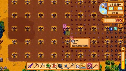星露谷物语甜瓜怎么种[图2]