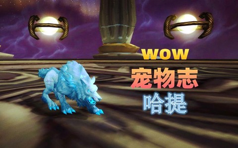 魔兽猎人哈提怎么得[图1]