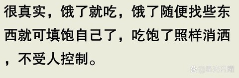 九阴真经饿了怎么办[图2]