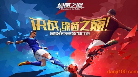 绿茵之巅图1