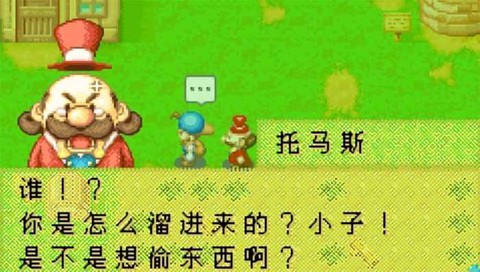 牧场物语女孩版图2