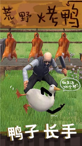 长手的鸭子图1