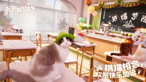 我和我的猫图3